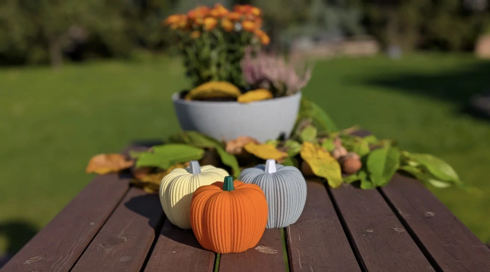 Dekorativní dýně - malá