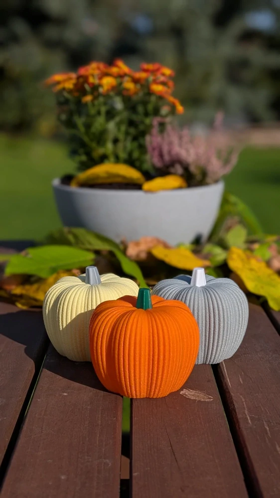 Dekorativní dýně - velká