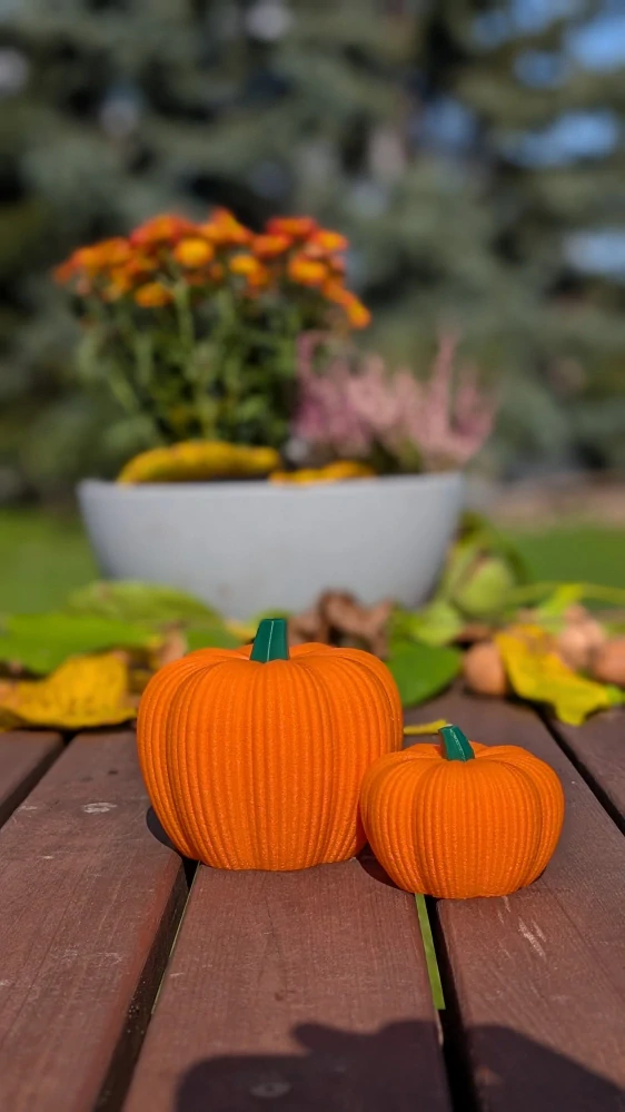 Dekorativní dýně - set (malá a velká)