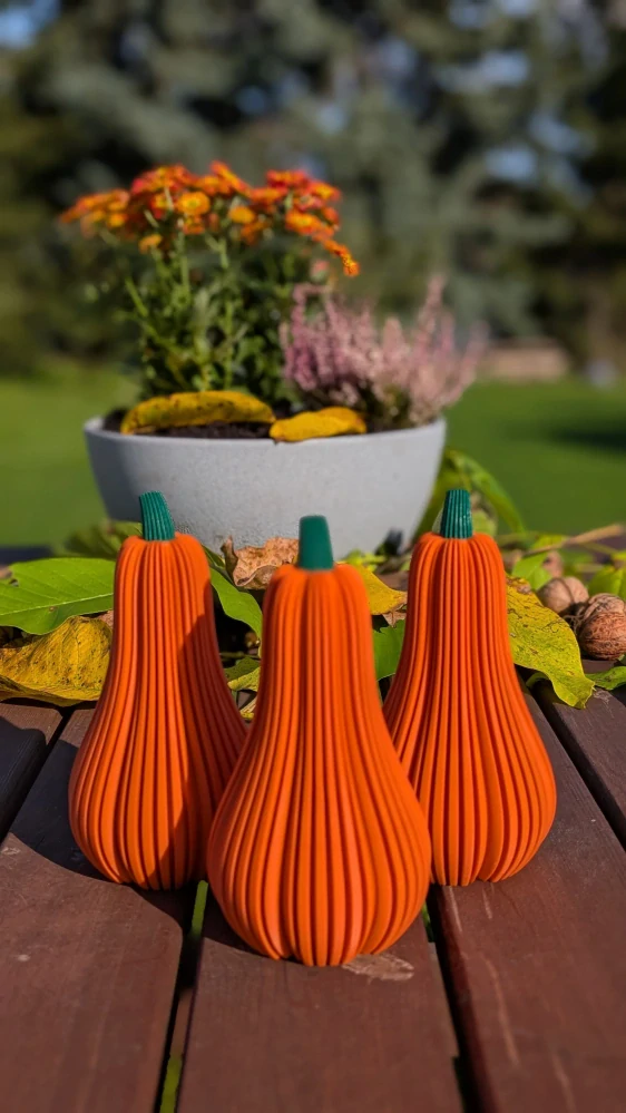 Dekorativní dýně - vysoká