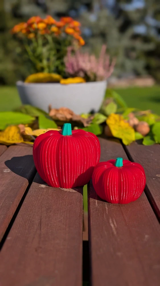 Dekorativní malá dýně (venkovní)