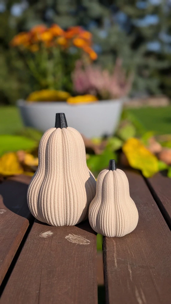 Dekorativní máslová dýně – set