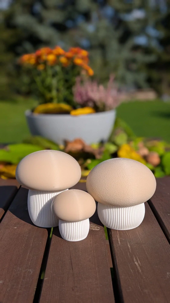 Dekorativní houba box – Japandi styl (malá)