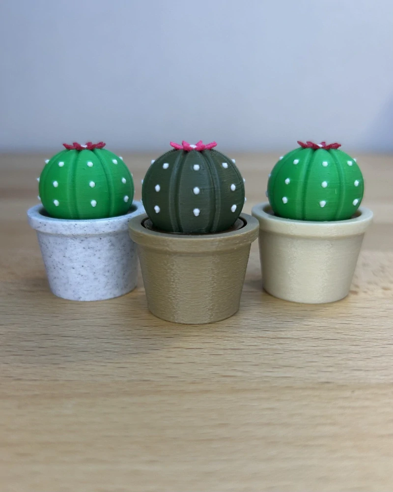 Kaktus kvetoucí - clicker