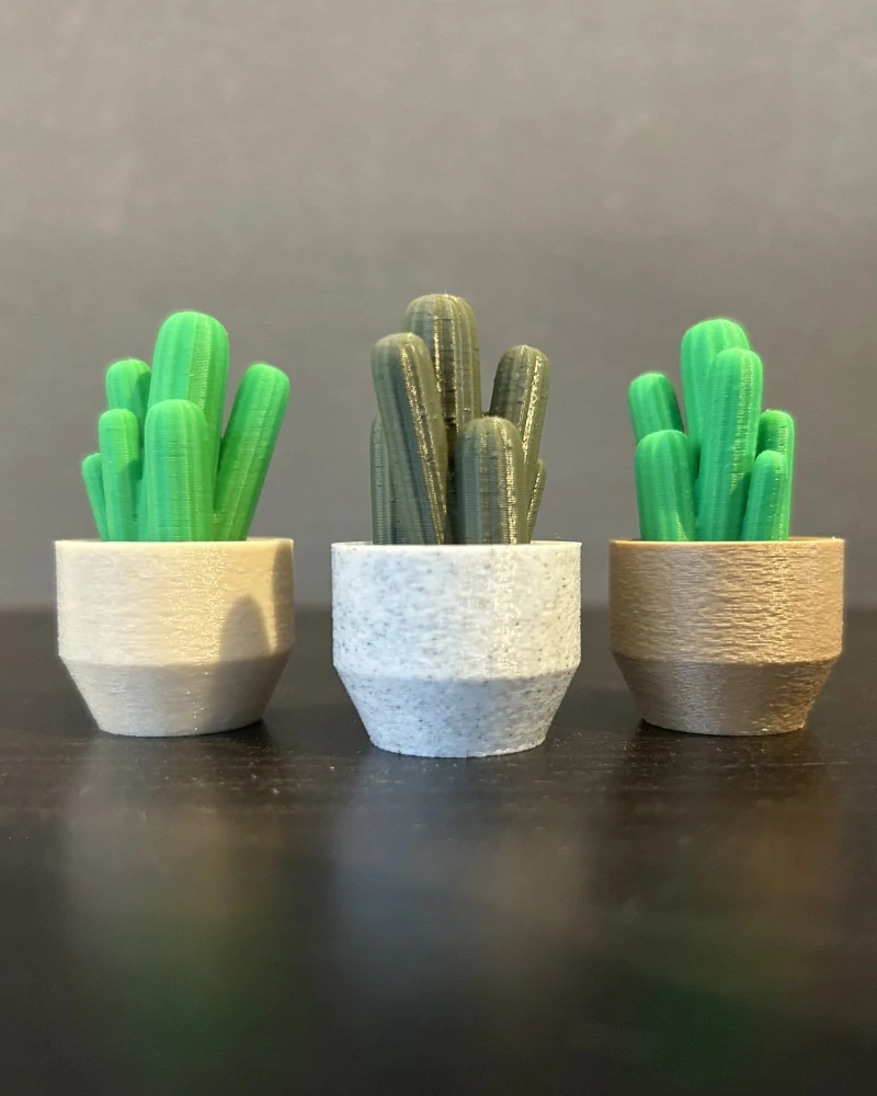 Kaktus Cereus - clicker