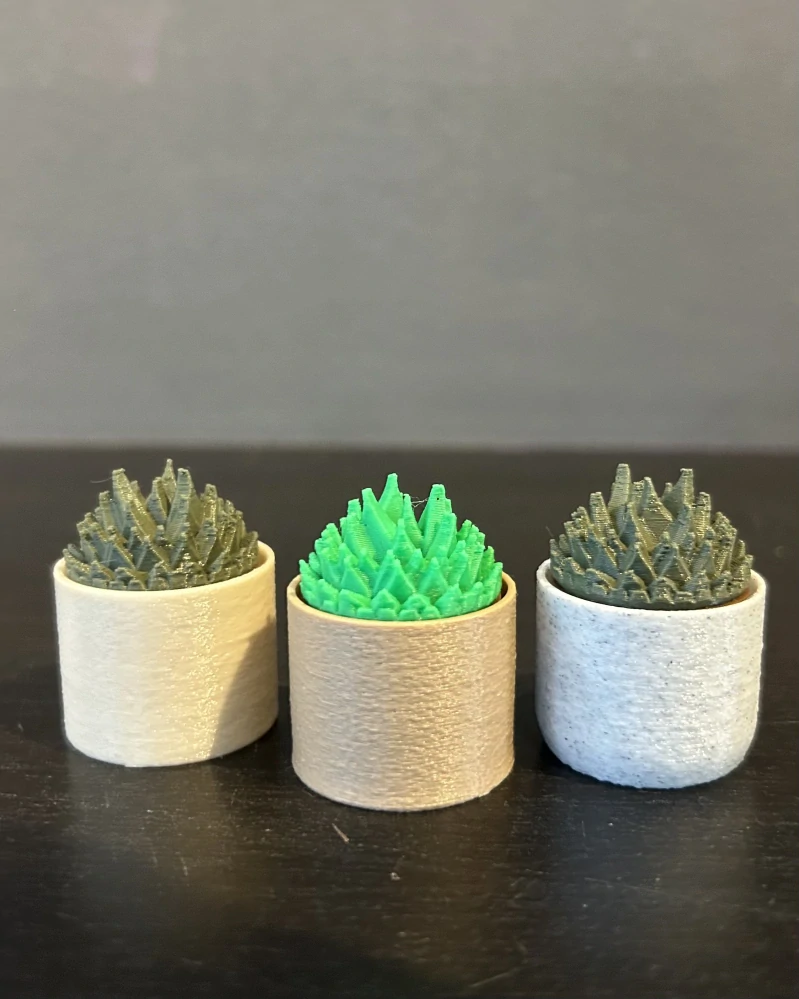 Kaktus špičatý - clicker