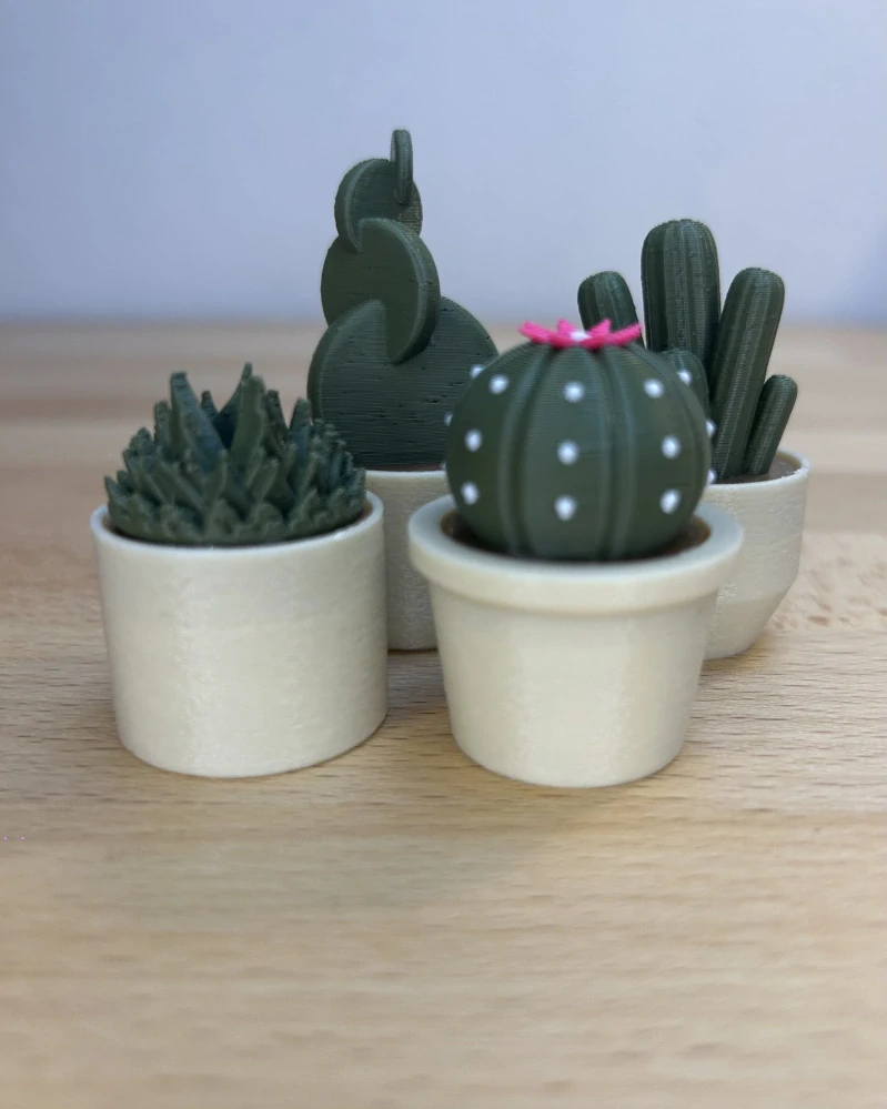 Kaktusové clickery – set 4 ks