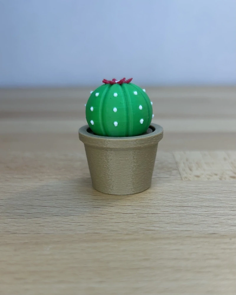 Kaktus kvetoucí - clicker