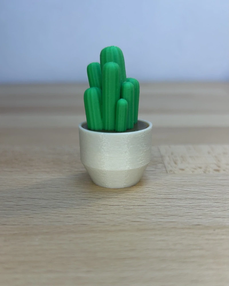 Kaktus Cereus - clicker