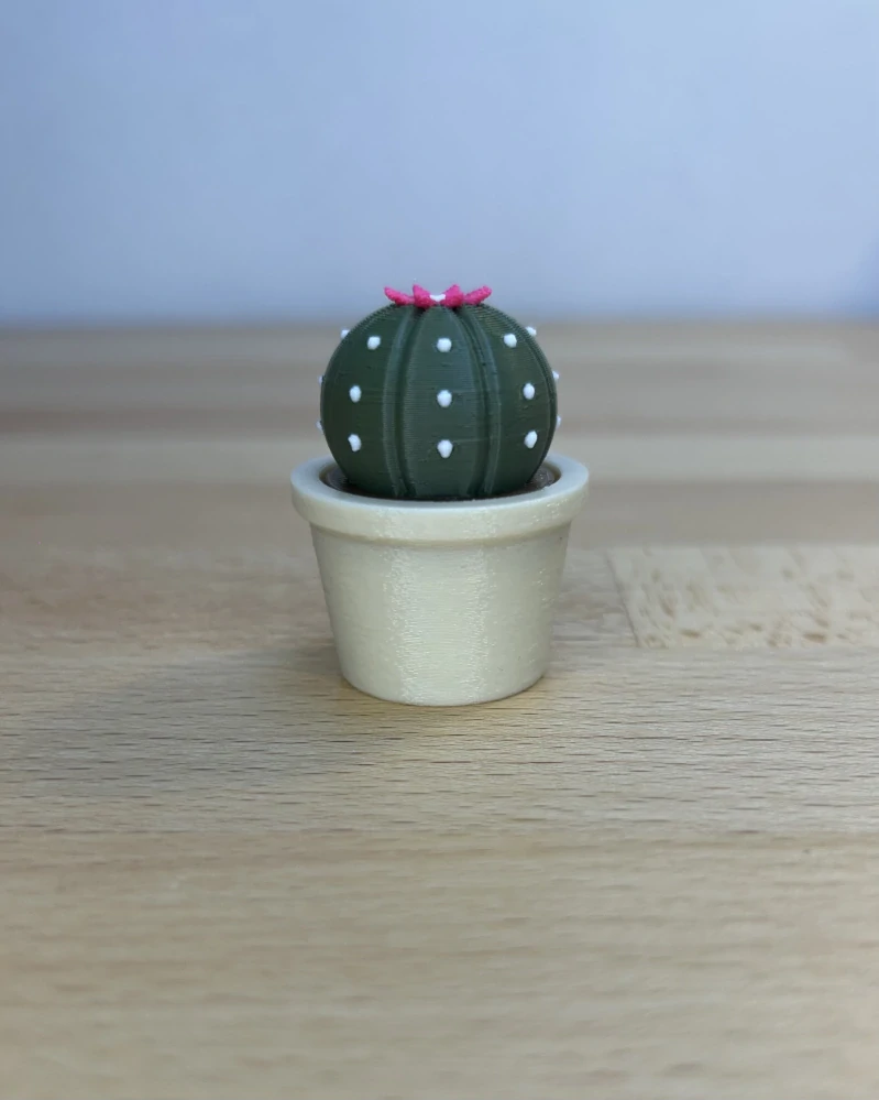 Kaktus kvetoucí - clicker