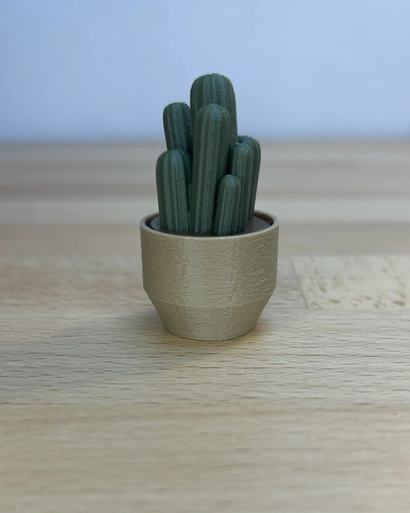 Kaktus Cereus - clicker