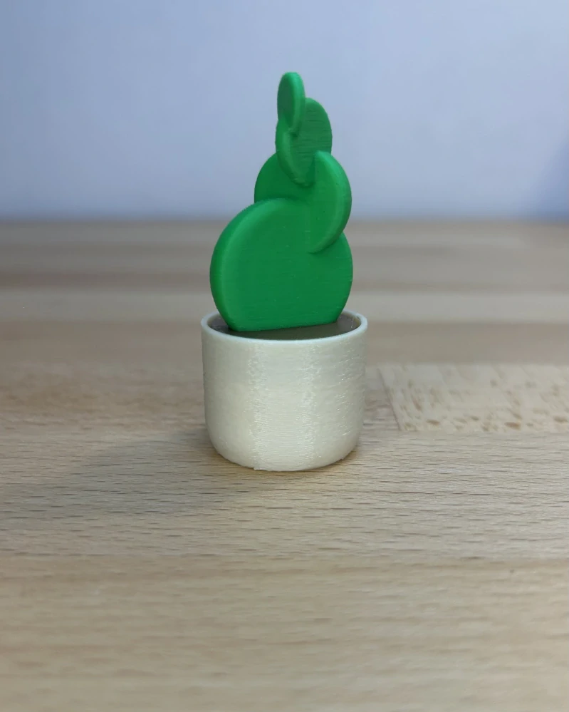 Kaktus opuncie - clicker