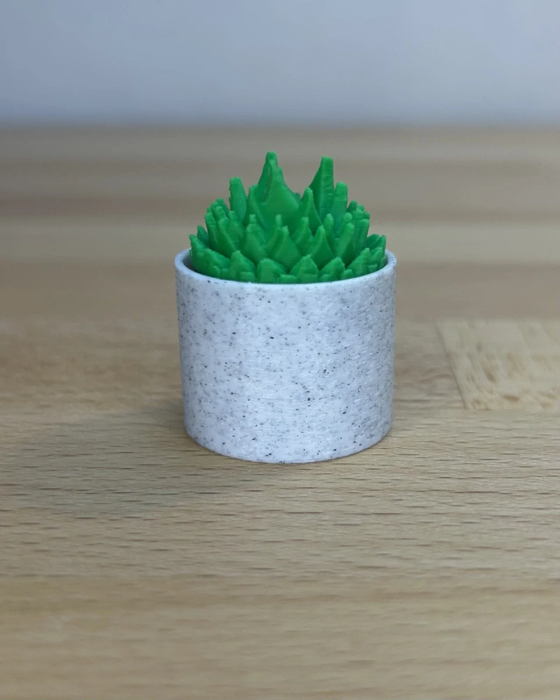 Kaktus špičatý - clicker