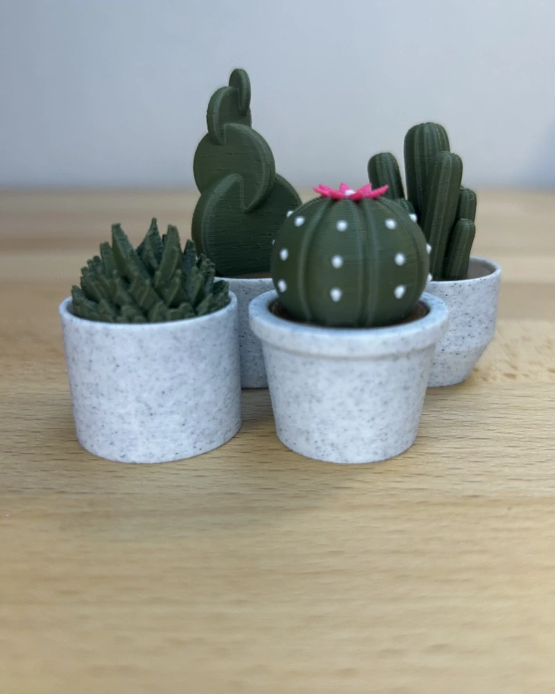 Kaktusové clickery – set 4 ks