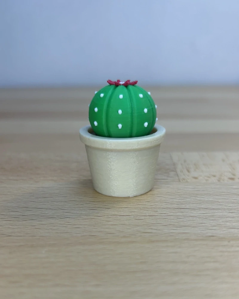 Kaktus kvetoucí - clicker