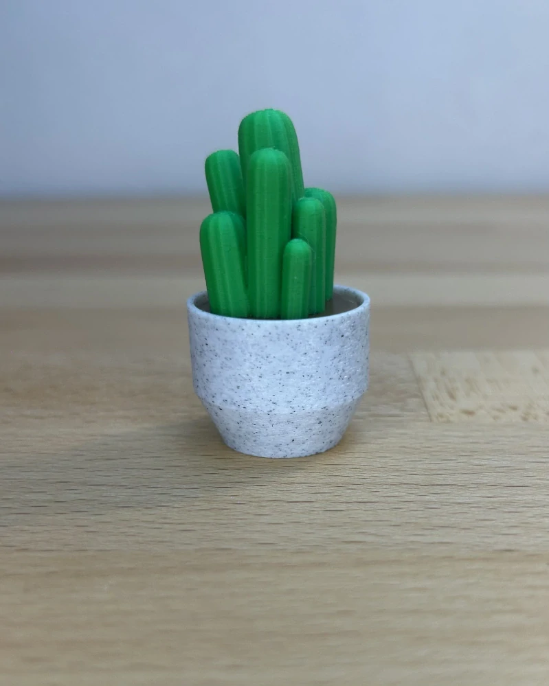 Kaktus Cereus - clicker