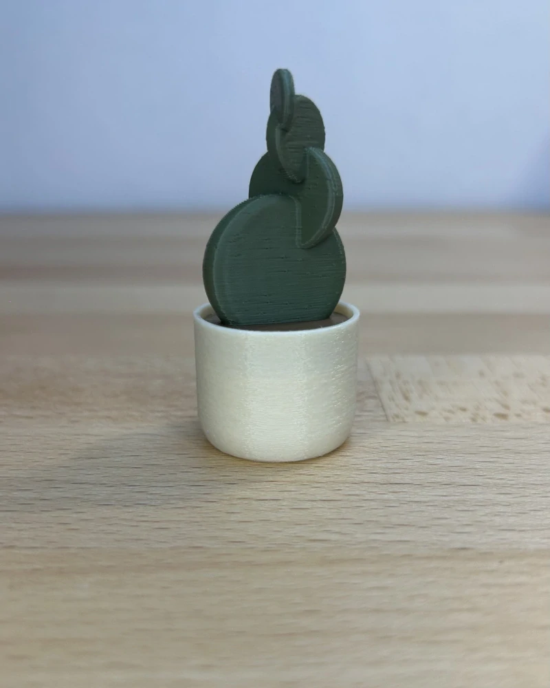 Kaktus opuncie - clicker