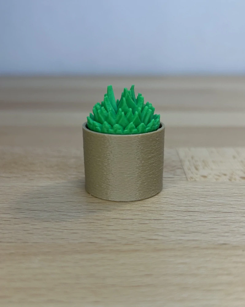 Kaktus špičatý - clicker