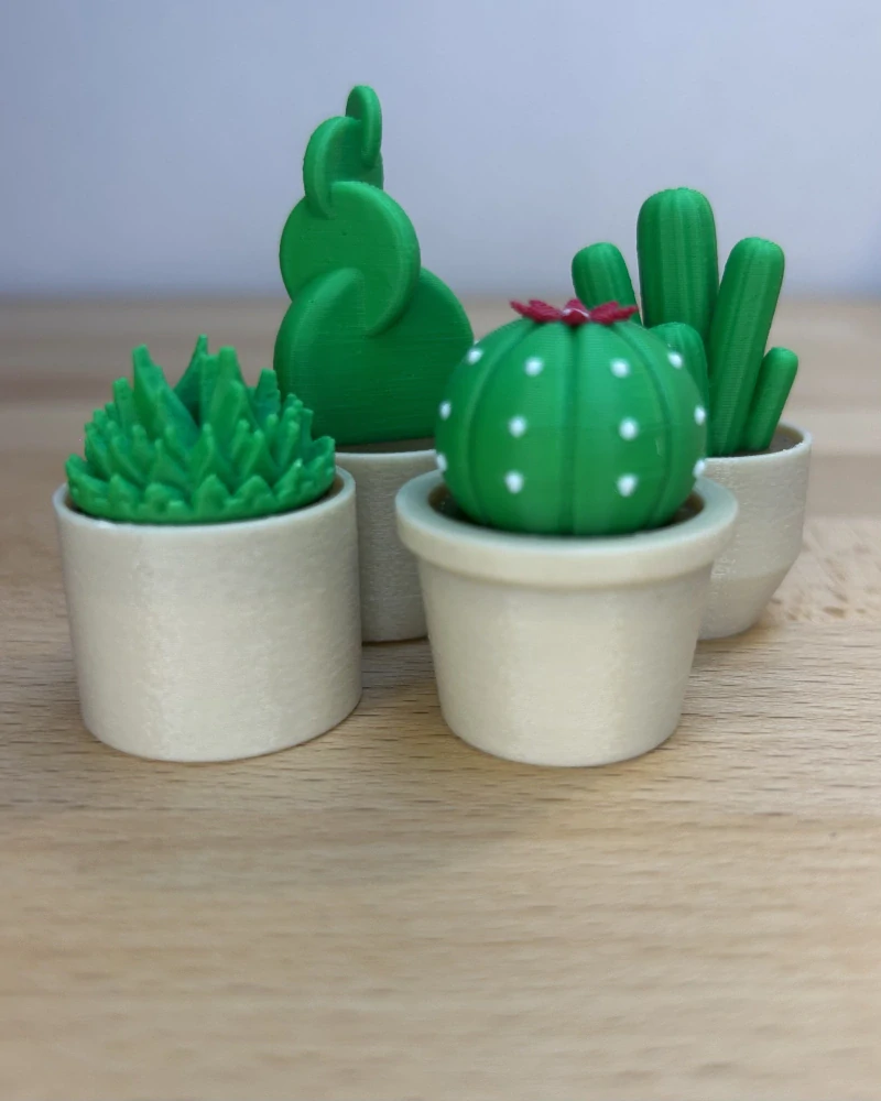 Kaktusové clickery – set 4 ks