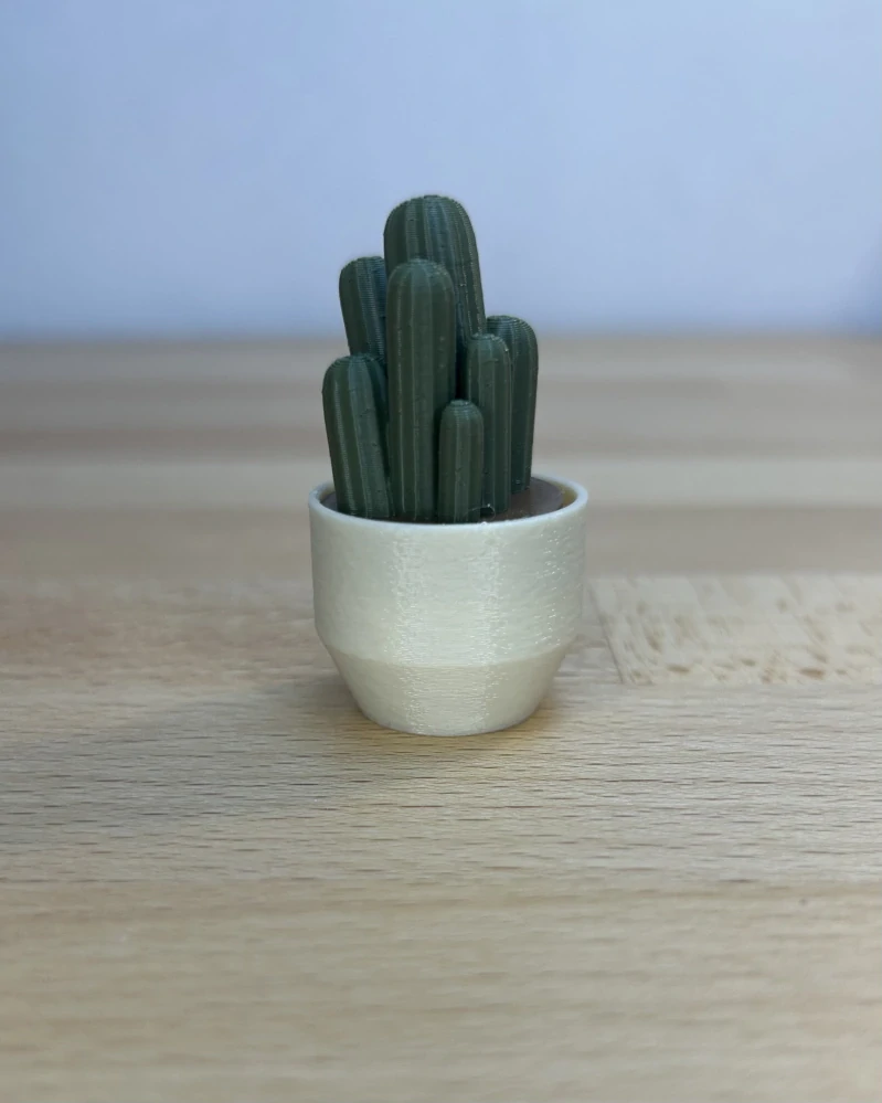 Kaktus Cereus - clicker