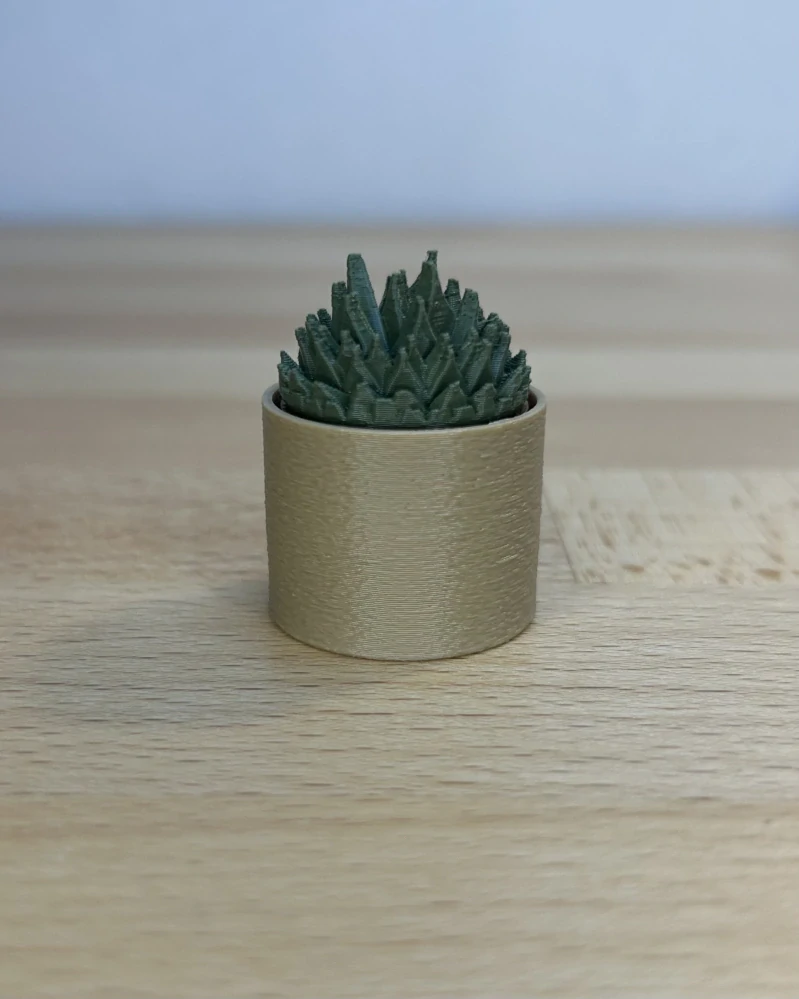 Kaktus špičatý - clicker