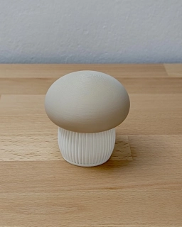 Dekorativní houba box – Japandi styl (malá)