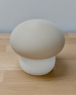 Dekorativní houba box – Japandi styl (střední)