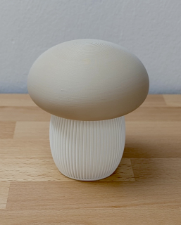 Dekorativní houba box – Japandi styl (velká)