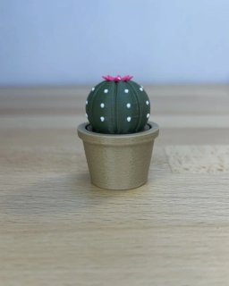 Kaktus kvetoucí - clicker