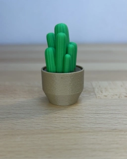 Kaktus Cereus - clicker