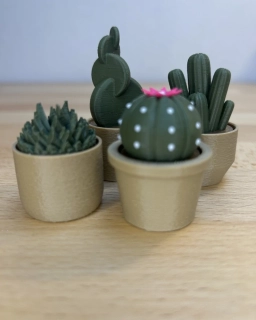 Kaktusové clickery – set 4 ks